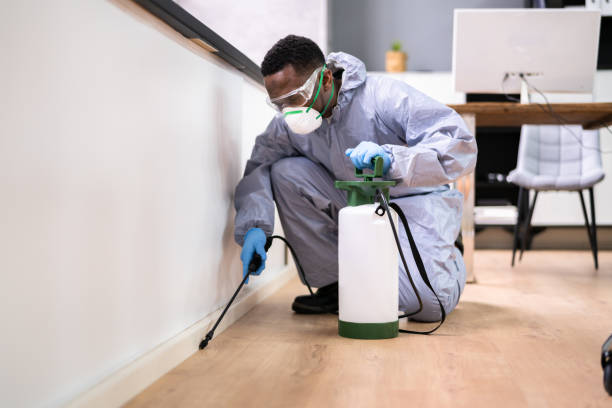 Best Real Estate Pest Inspections  in Haskell, TX